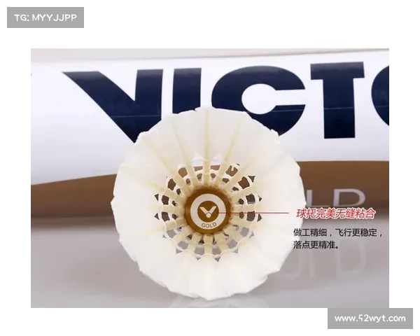 胜利羽毛球品牌发展历程与创新技术分析 胜利羽毛球品牌发展历程与创新技术分析